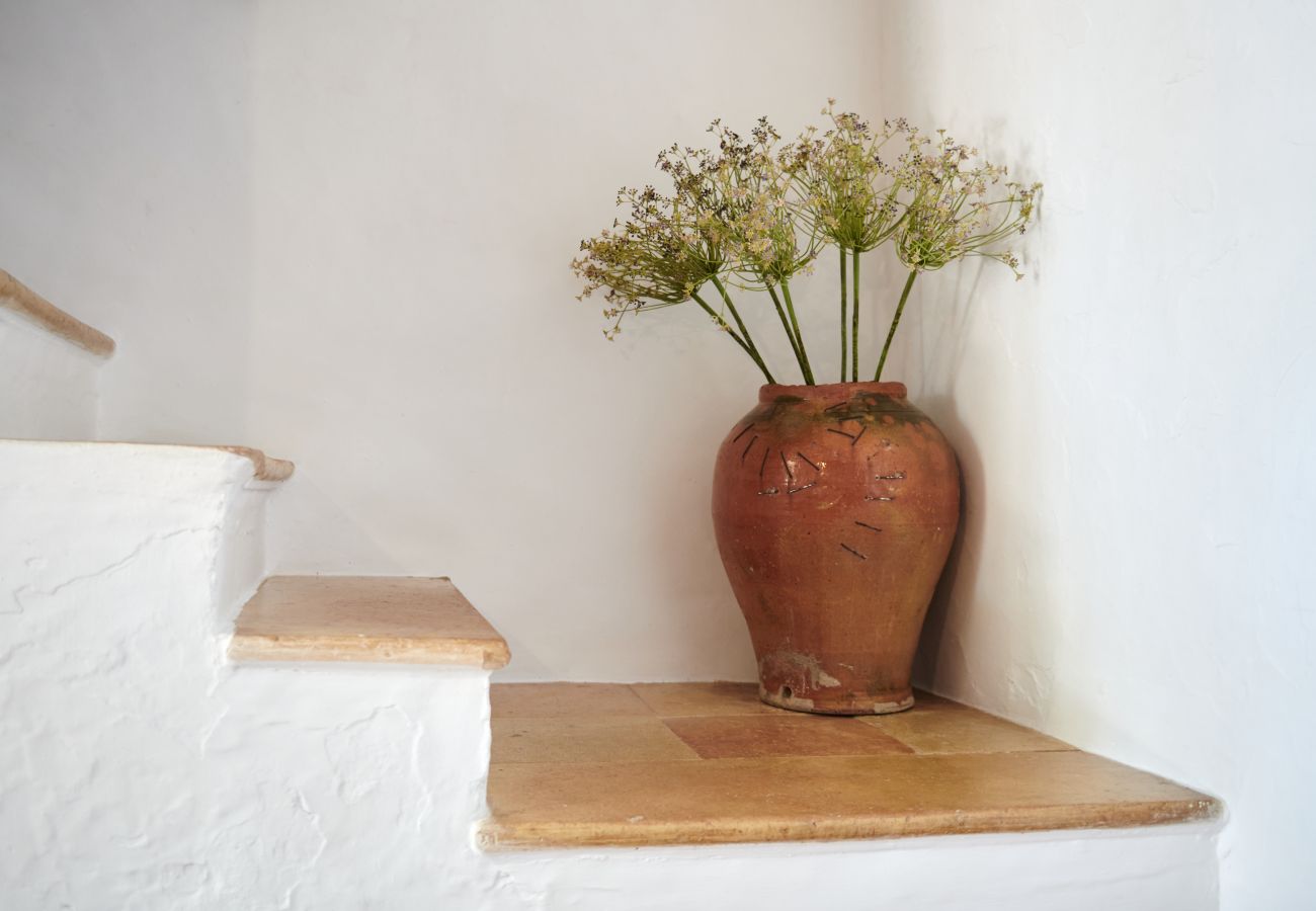 Treppe und Pflanze der Finca Can Torres in Felanitx
