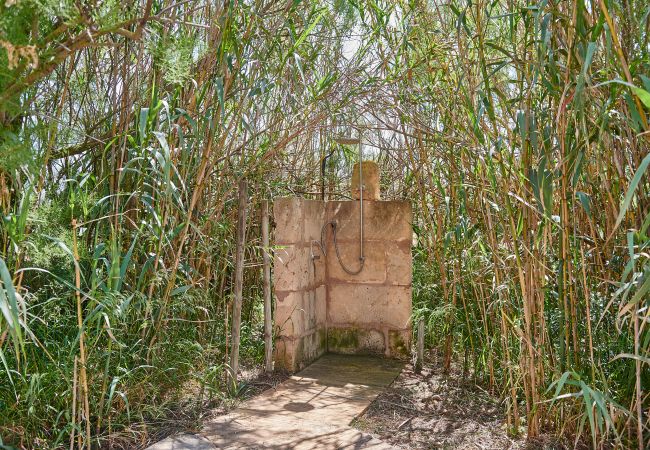 Garten und Bambus der Finca Son Garreta bei Campos 