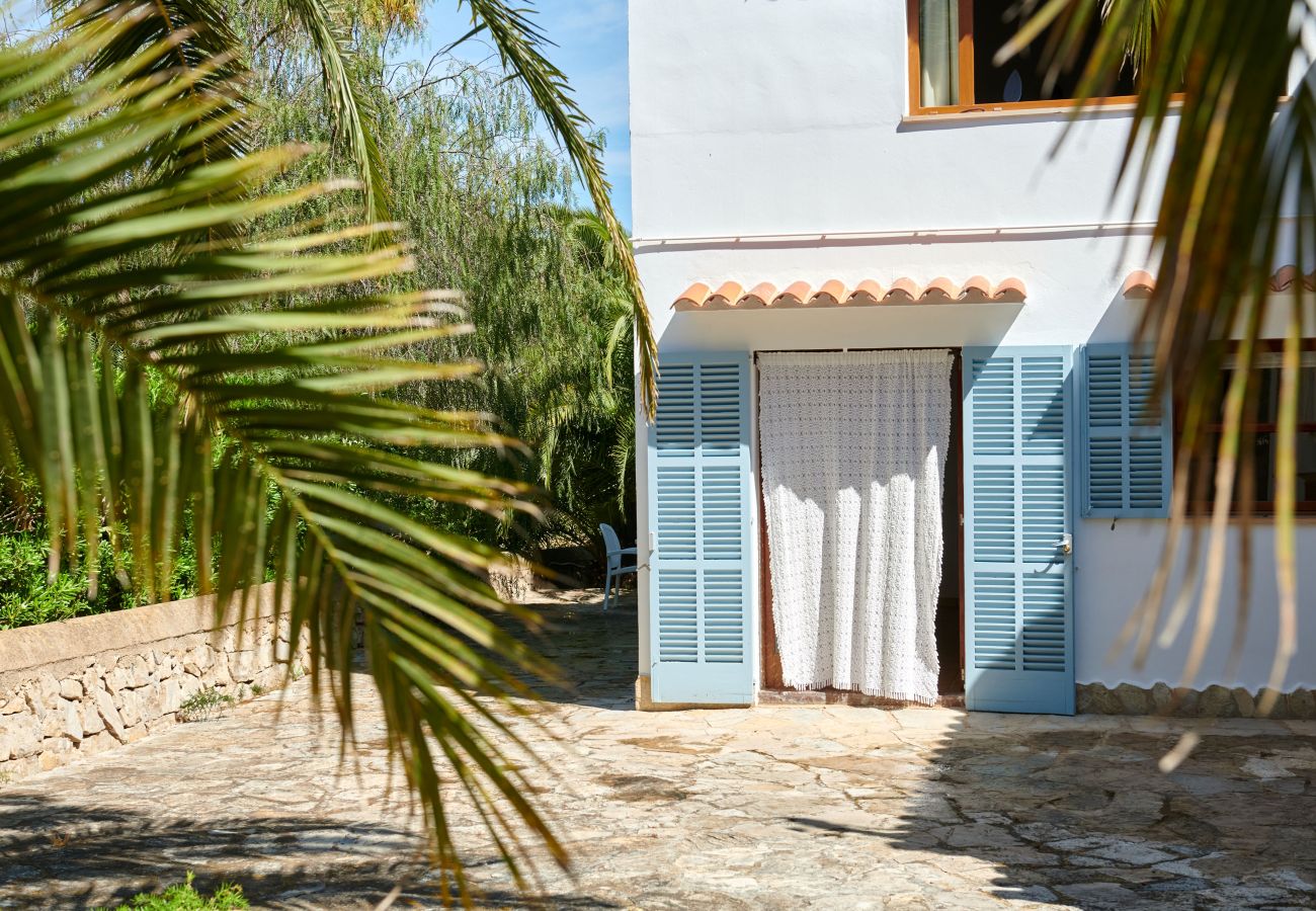Palme und Eingang der Finca Casa Jardin bei Cala Murada