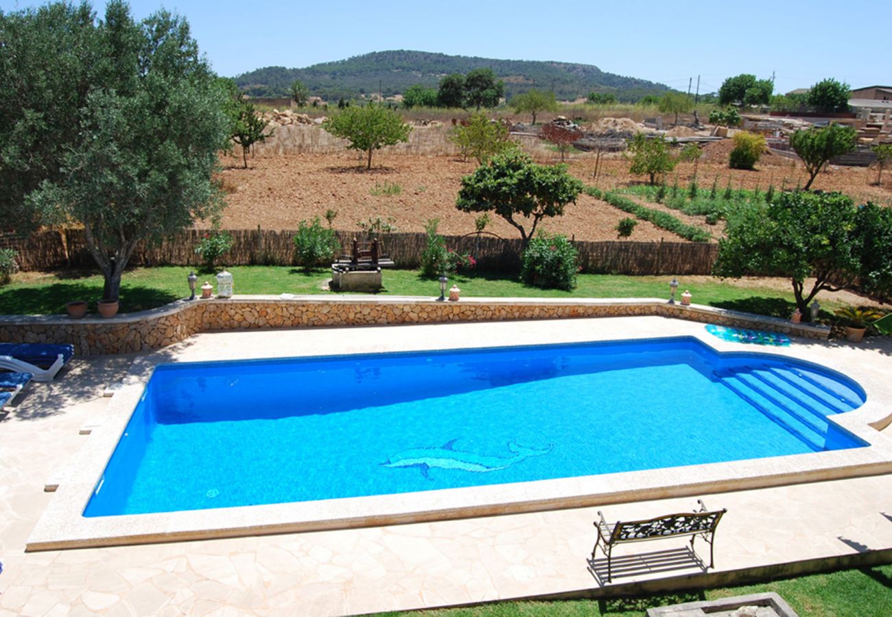 Pool und Panorama der Finca Es Porrassar bei Cas Concos 