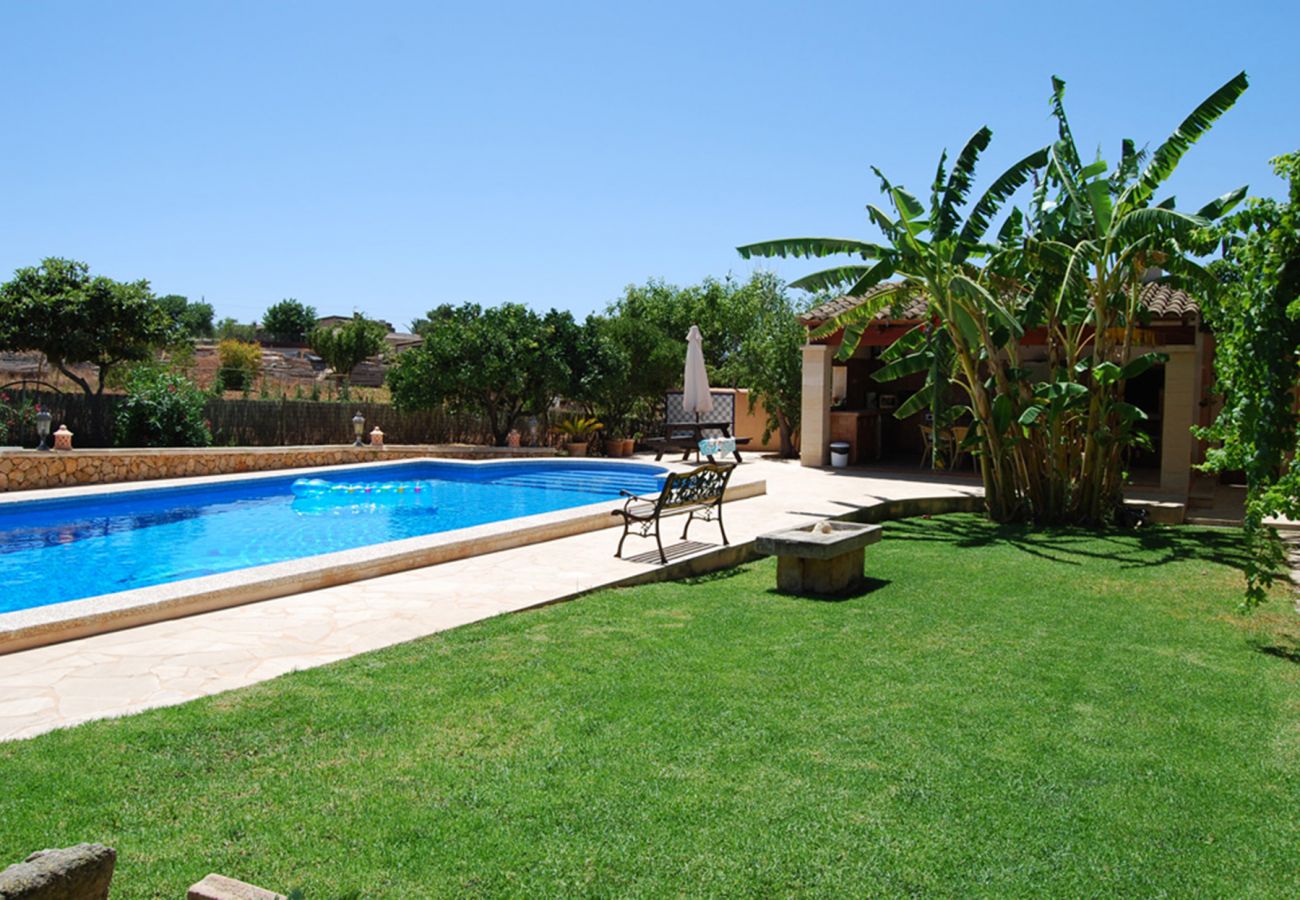 Pool und Garten der Finca Es Porrassar bei Cas Concos