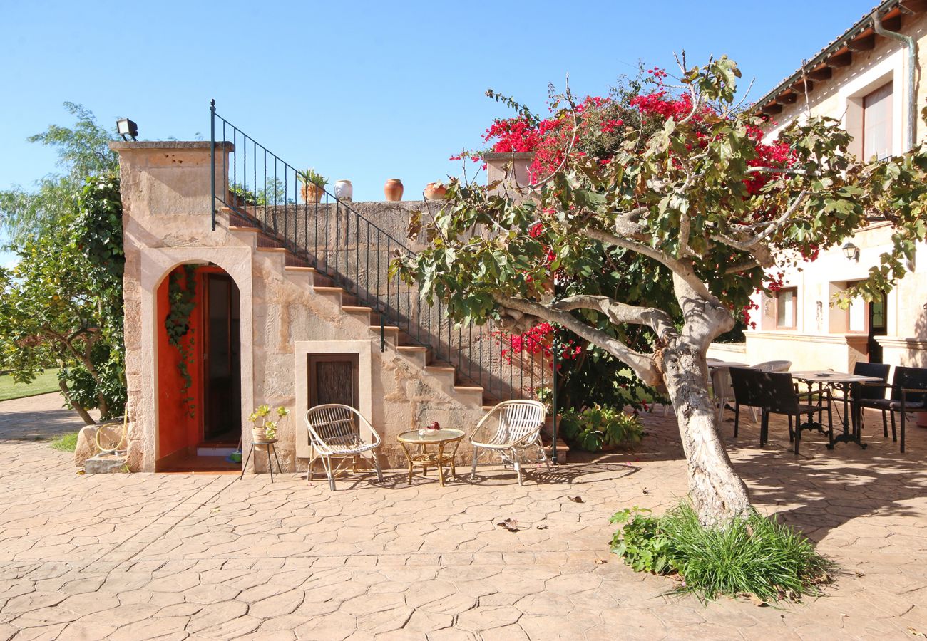 Außenbereich und Fassade der Finca Son Cura bei Campos 