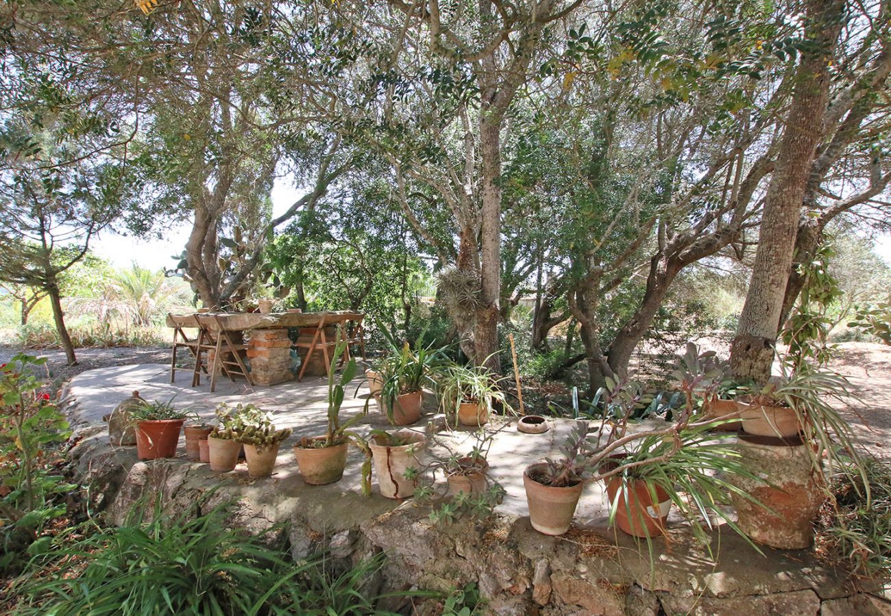 Garten mit rustikaler Sitzgelegenheit der Finca 