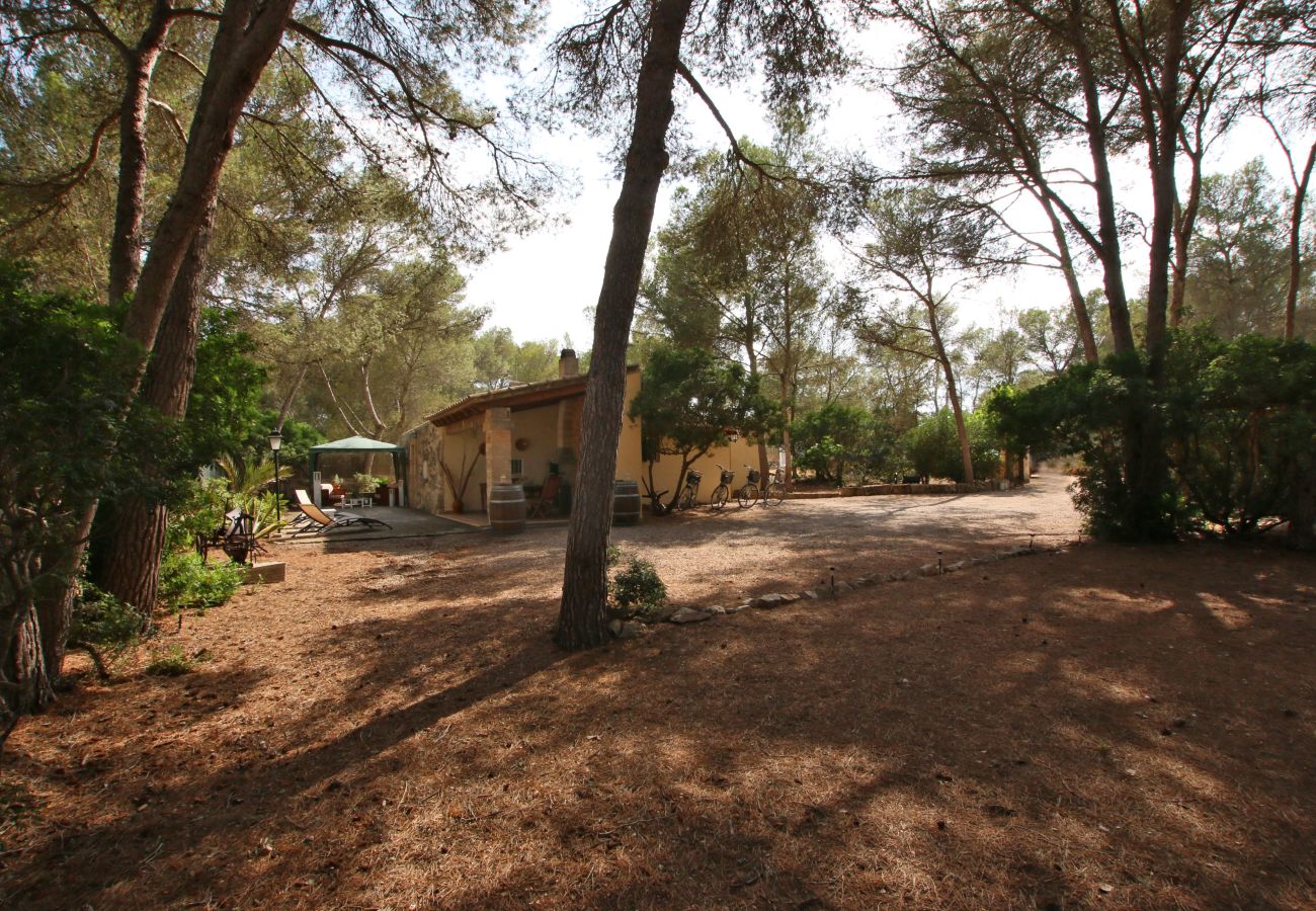 Finca in Campos - Can Covetes