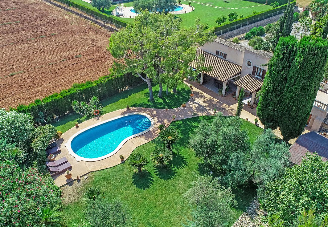 Pool, Garten und Haus der Finca Can Vicenz bei Sa Pobla von oben