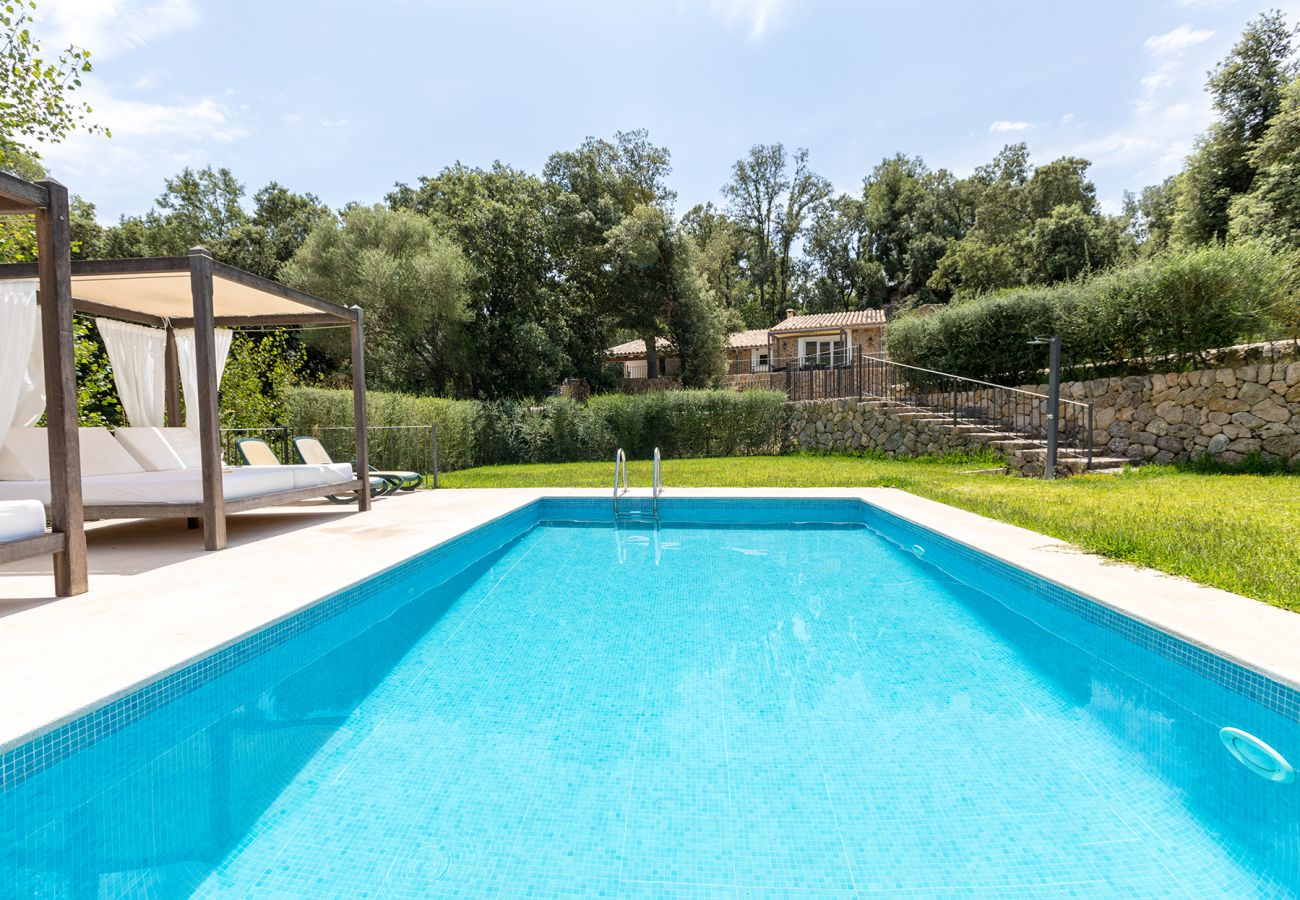 Pool mit Liegen und Garten der Finca Binibona Petit bei Moscari 