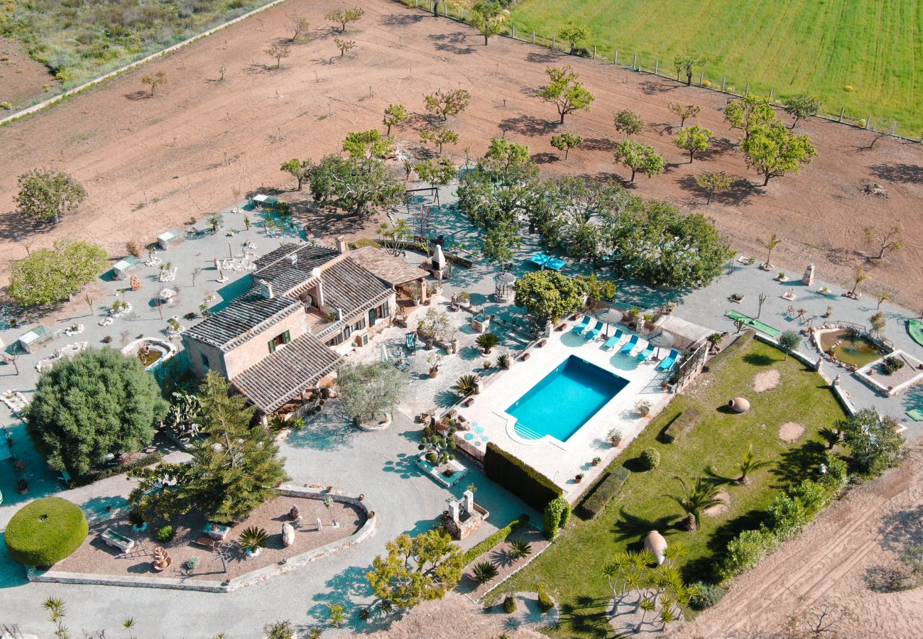 Luftbild mit Pool der Finca Ses Terrasses in Porreres
