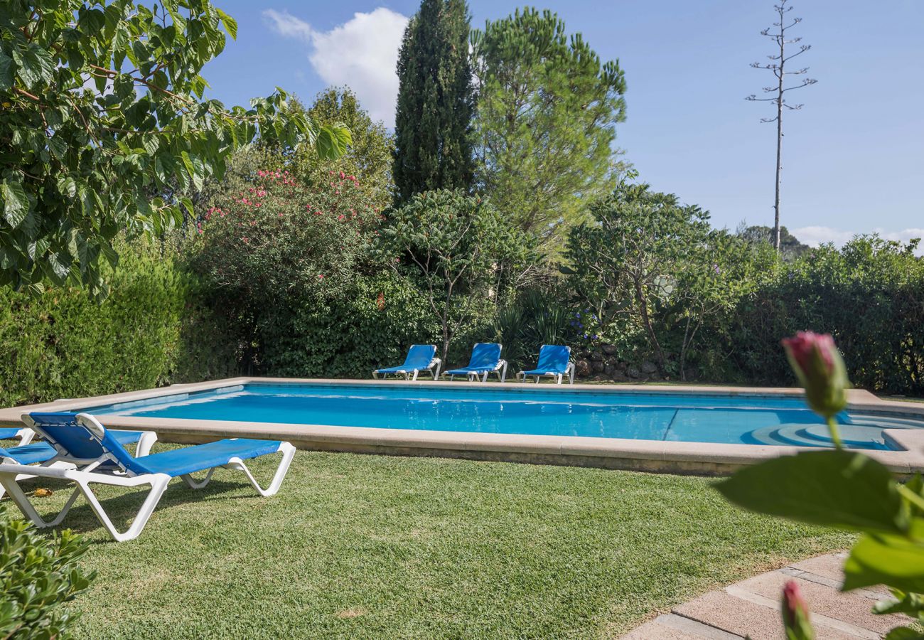 Pool und Garten der Finca Finca Navarro in Pollensa 