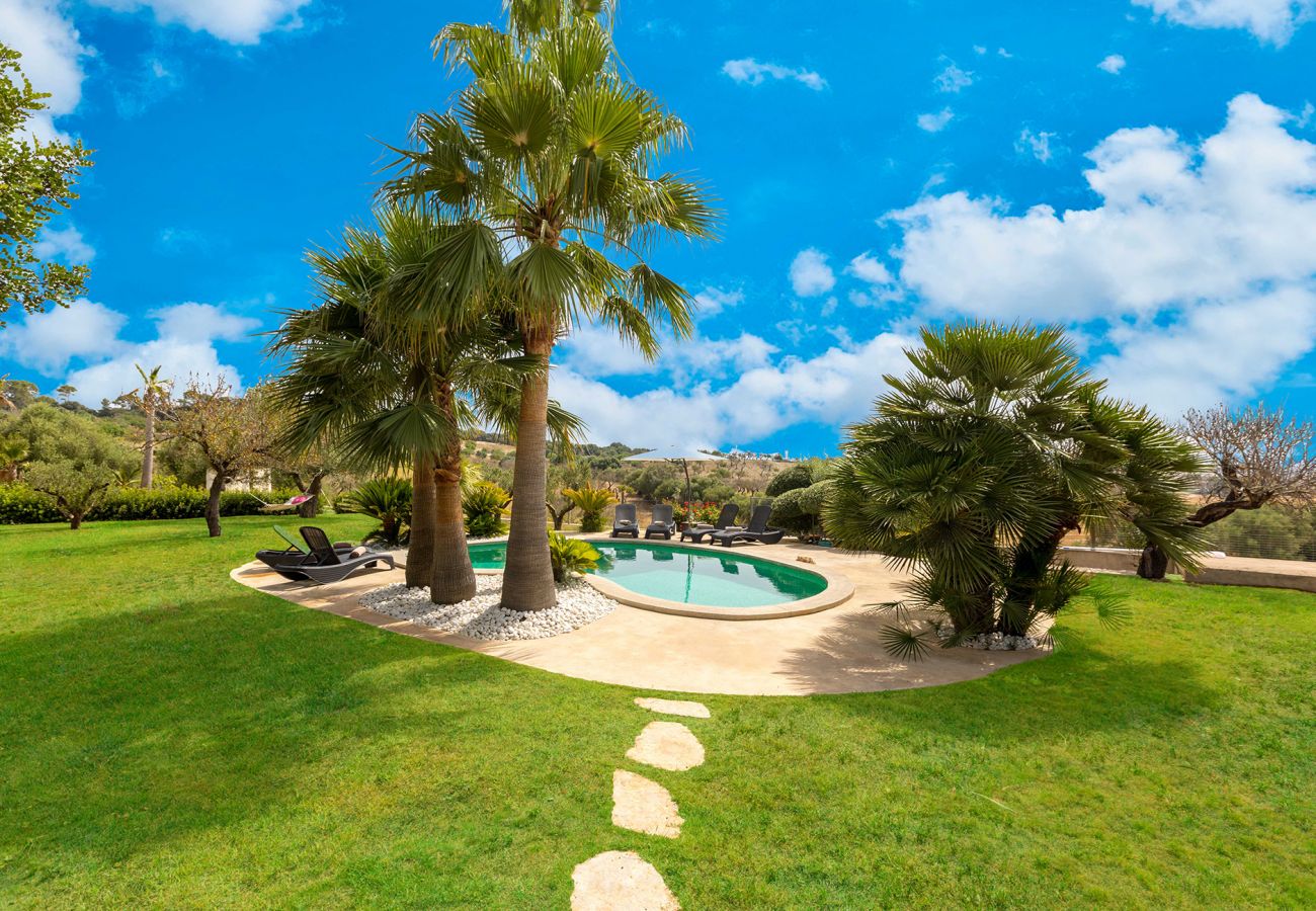 Pool und Garten mit Palmen der Finca Son Suau bei Santa Margalida