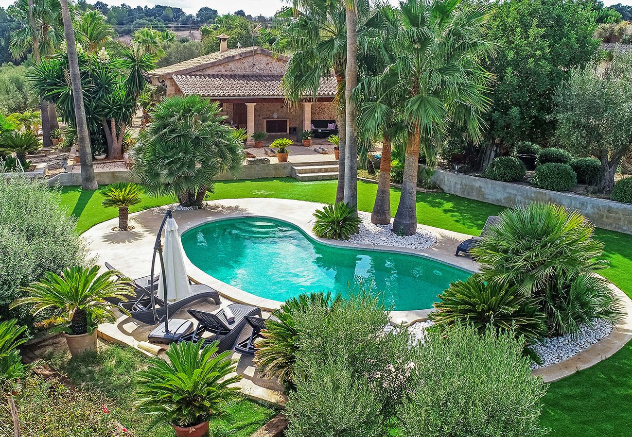 Pool und Garten mit Palmen der Finca Son Suau bei Santa Margalida