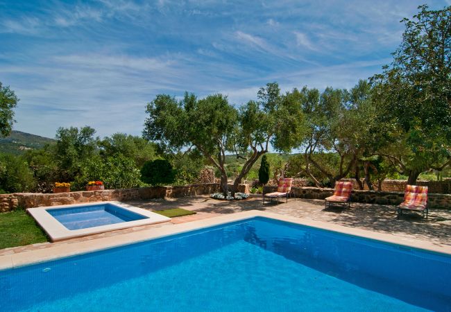 Pool mit Liegen und Bäumen der Finca Rafal Roig Es Galliner bei Manacor 