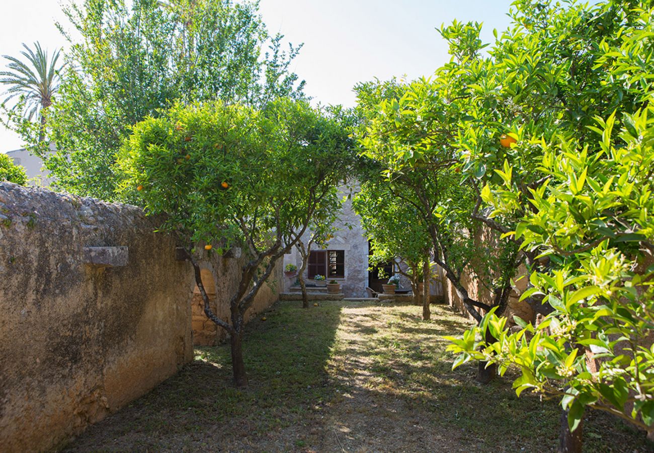 Garten mit Orangenbäumen der Finca Pla Llodrá - Es Rebost bei Manacor