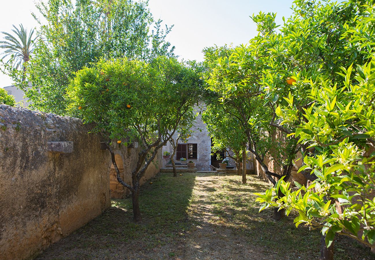Grüner Gartenbereich der Finca Pla Llodrá - Sa Bugaderia bei Manacor