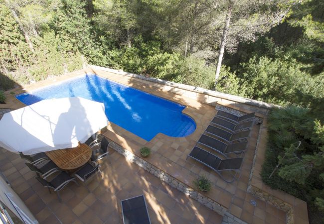 Pool mit Liegen und Garten der Finca Can Bosc bei Alcudia