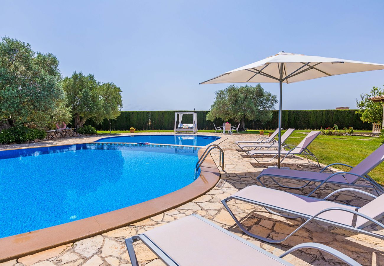 Pool mit Sonnenliegen der Finca Villa Muro bei Muro 