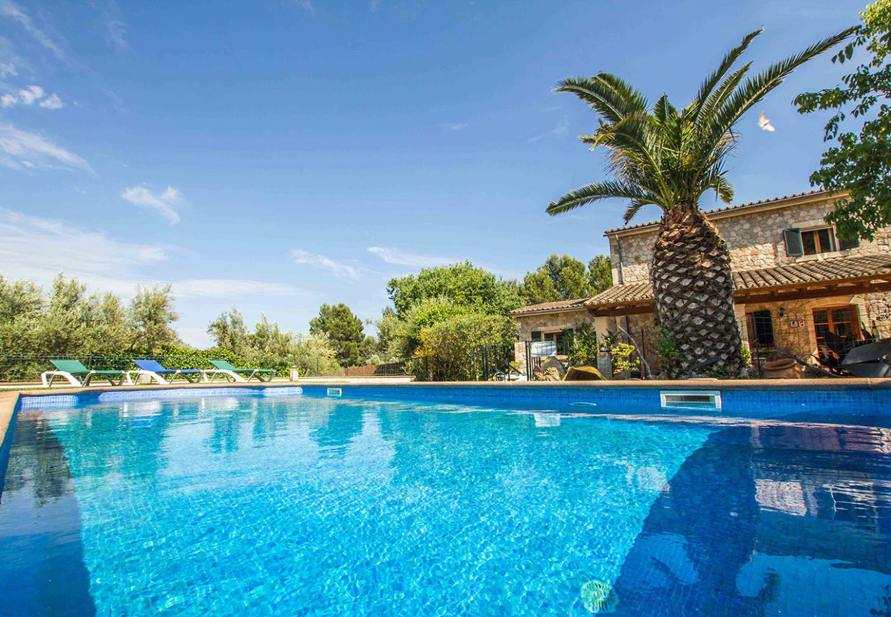 Ferienhaus mit Pool und Palmen der Finca Alcadeno bei Alaró