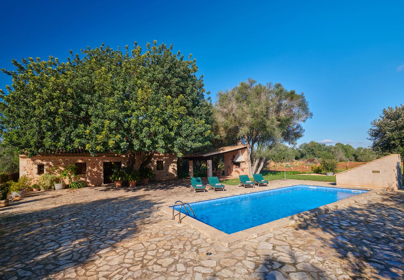 Garten mit Pool und Veranda der Finca Els Ermassos bei Felanitx