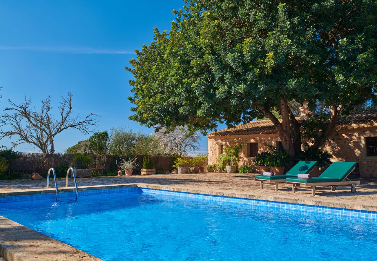 Pool und Terrasse der Finca Els Ermassos bei Felanitx