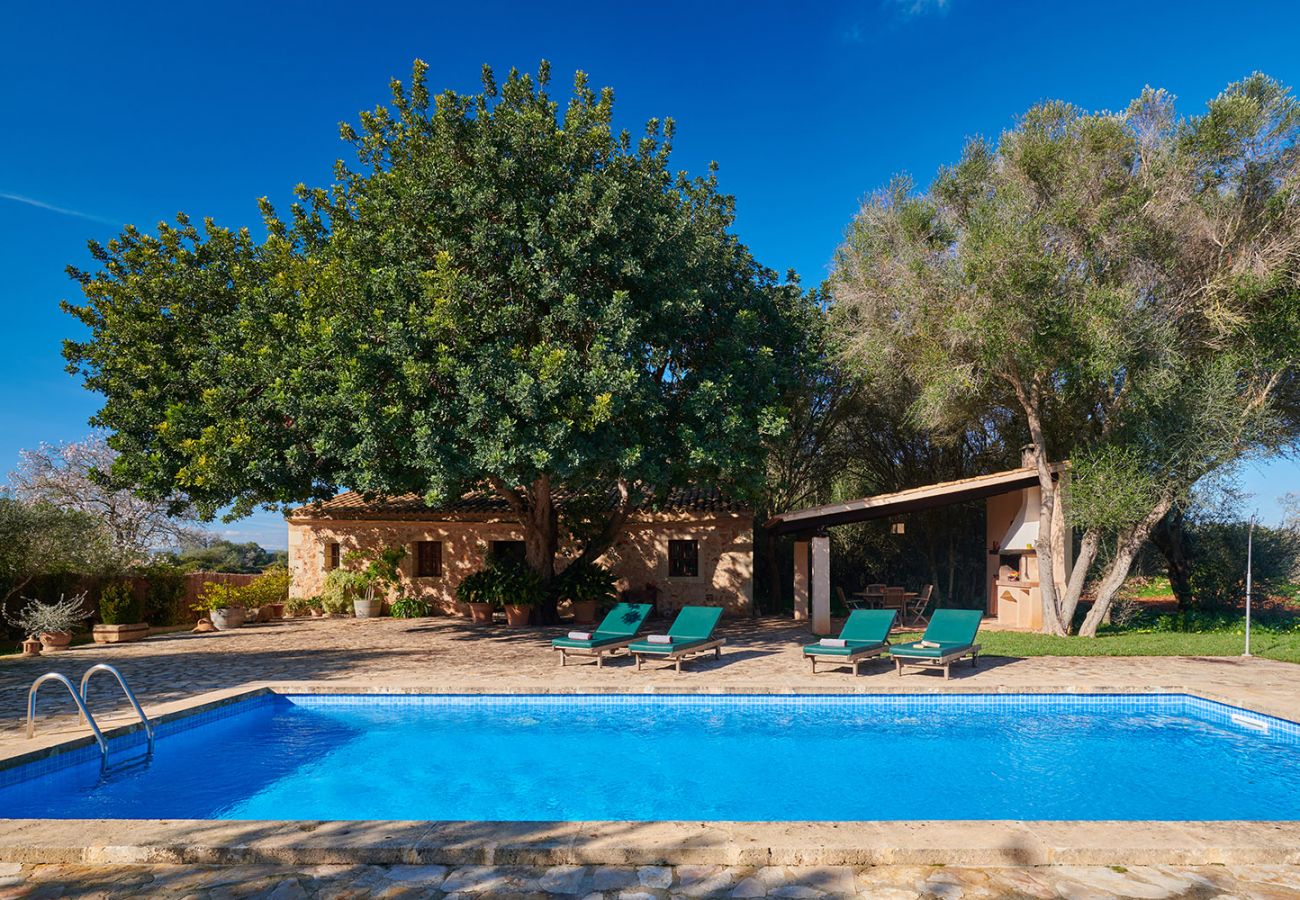 Haus, Pool und Bäume der Finca Els Ermassos bei Felanitx
