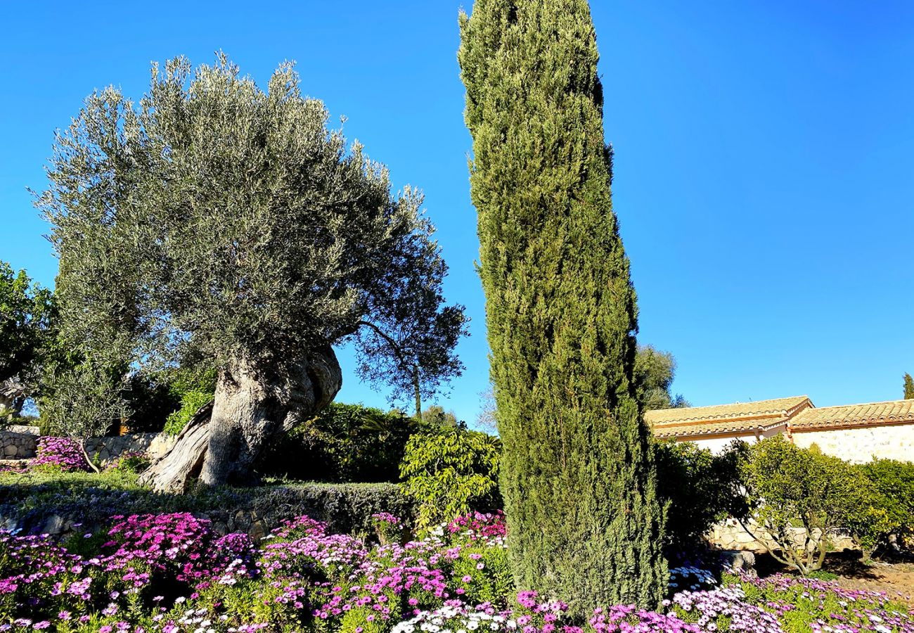 Grüner Gartenbereich der Finca Vista Bonita bei Arta
