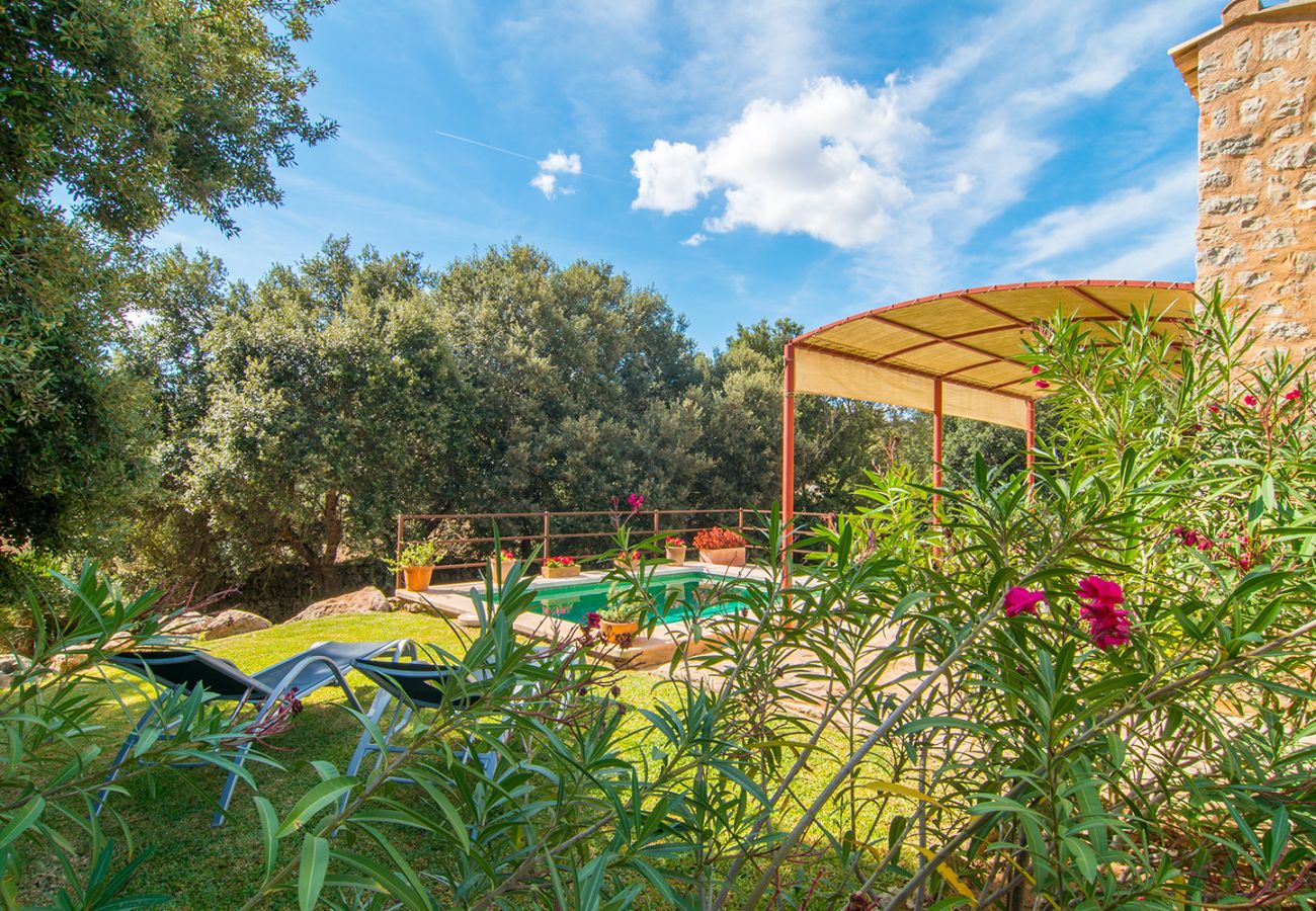 Garten mit Steineichen und Pool in der Finca Bonita bei Son Servera