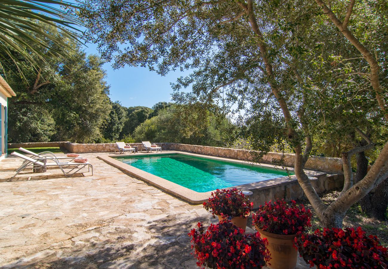 Pool, Sonnenterrasse und Flora der Finca Es Garballo bei Son Servera