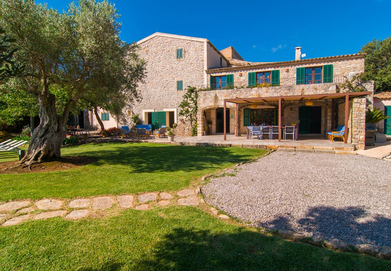 Terrasse, Garten mit Olivenbaum und Haus der Finca Es Rafal de Sant bei Son Servera
