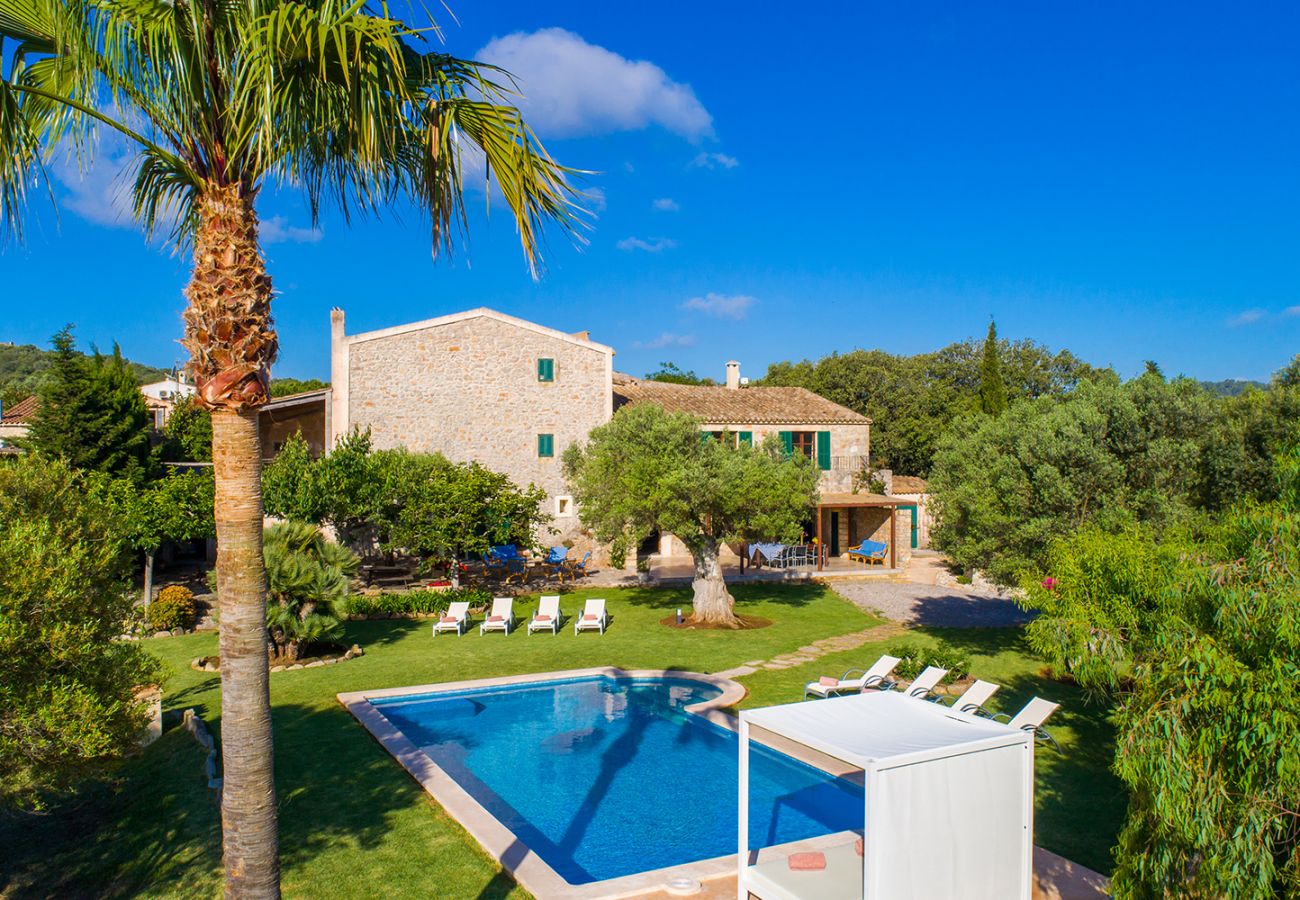 Pool, Garten mit Palme und Olivenbaum und Haus der Finca Es Rafal de Sant bei Son Servera