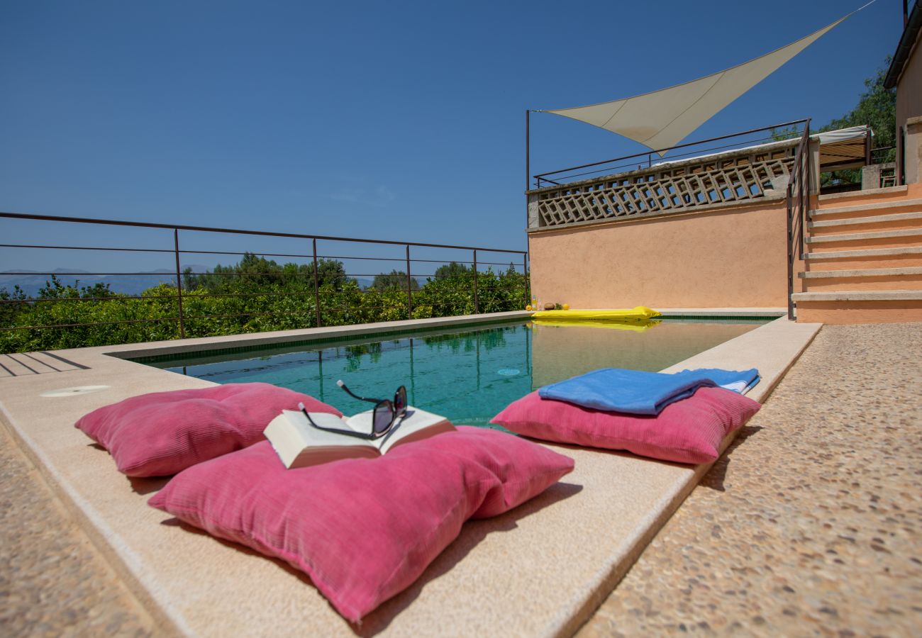 Pool und Terrasse der Finca Las Naranjas in Costix