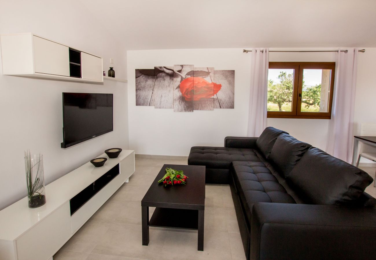 Wohnzimmer und TV der Finca Petitona in Buger