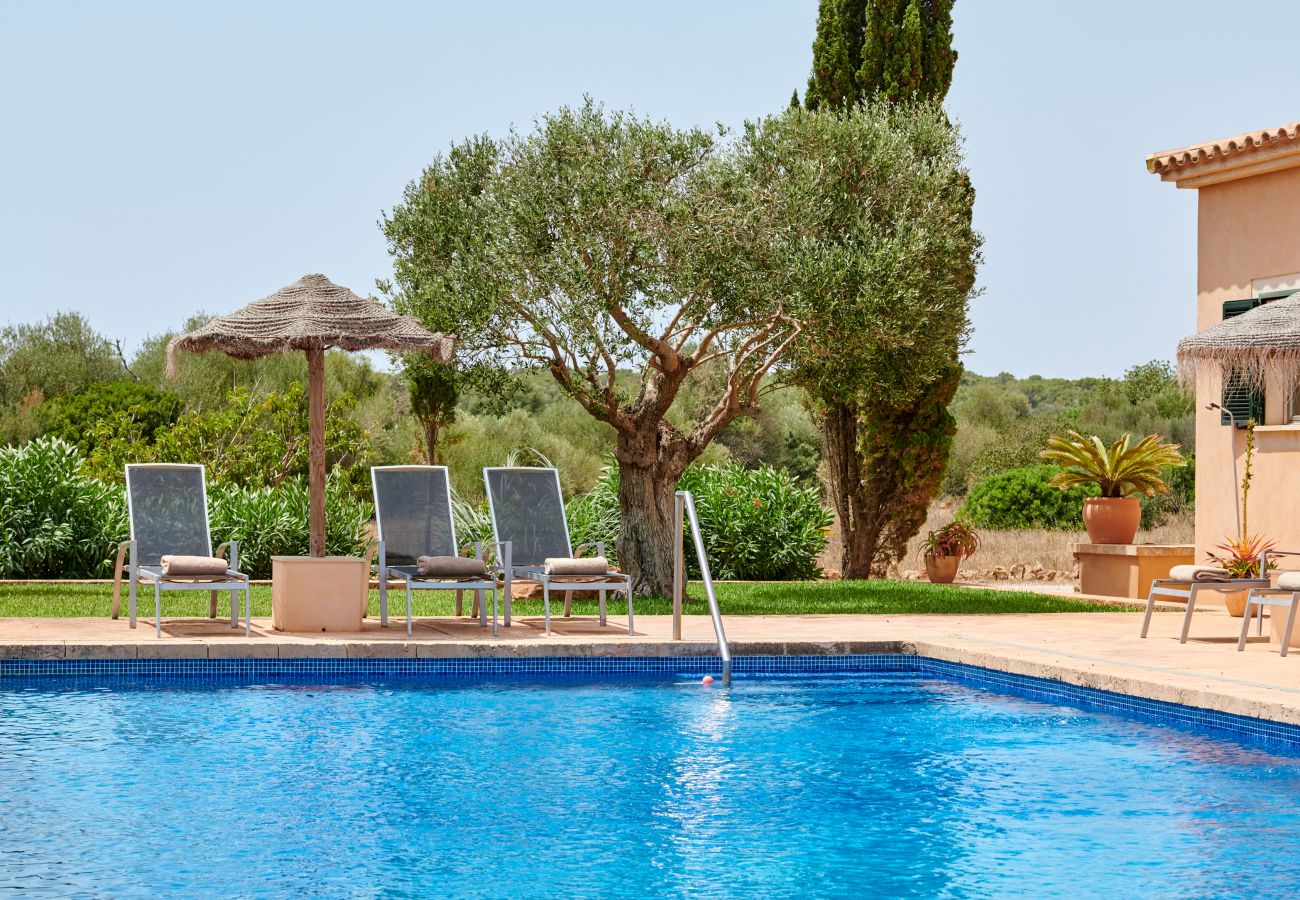 Pool und Garten der Finca Es Vinyolet bei Campos