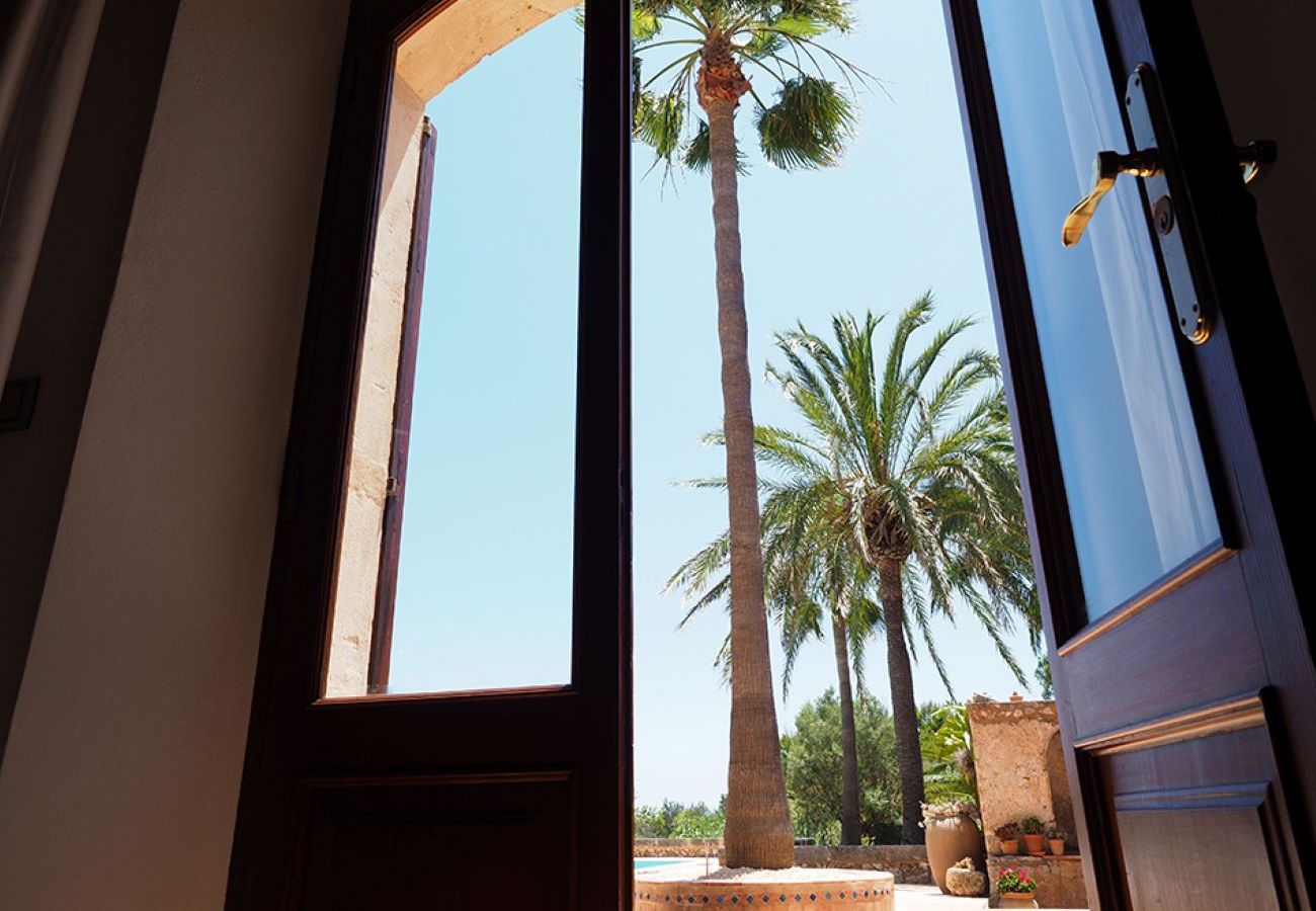 Fenster mit Palmen im Garten der Finca 