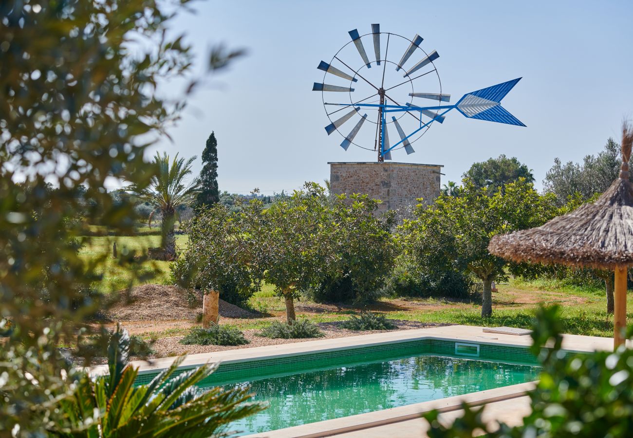 Pool und Garten der Finca Can Rafelet bei Ses Salines