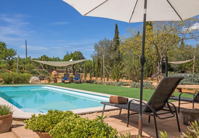 Pool und Garten der Finca Pilota bei Santa Maria del Cami 