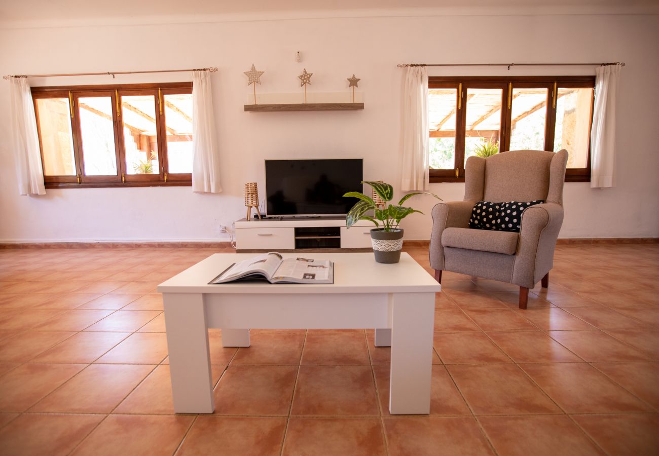 Wohnzimmer mit TV der Finca Sa Pedra bei Santanyi