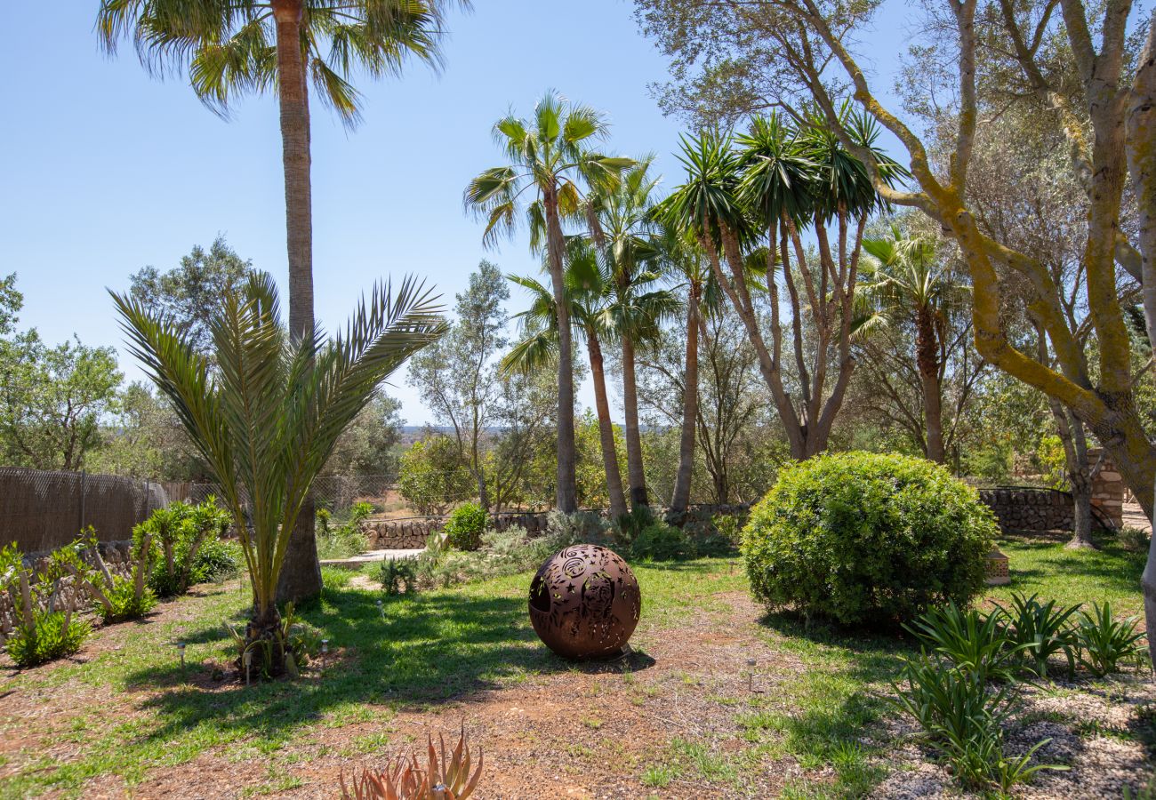 Garten mit Palmen der Finca Se Pedra bei Santanyi